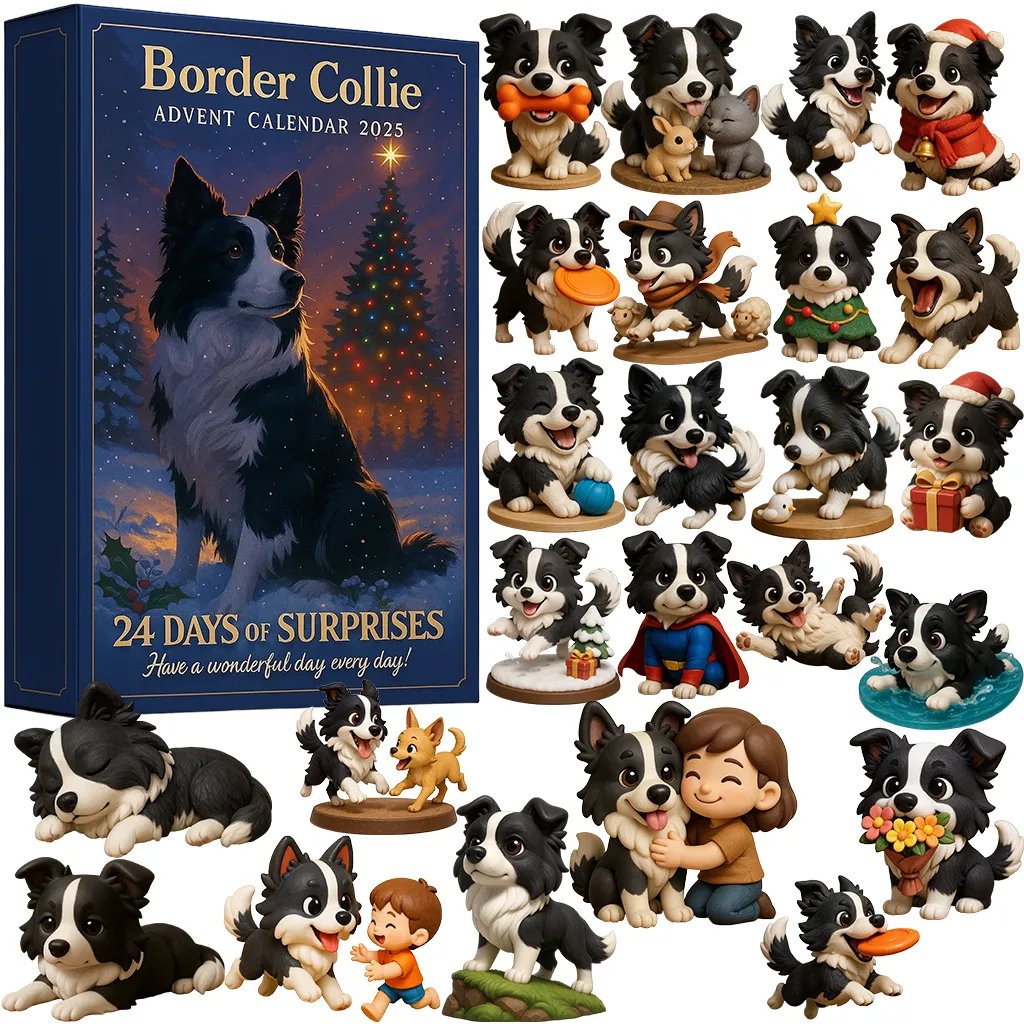 Border cole | Adventní kalendář 2025