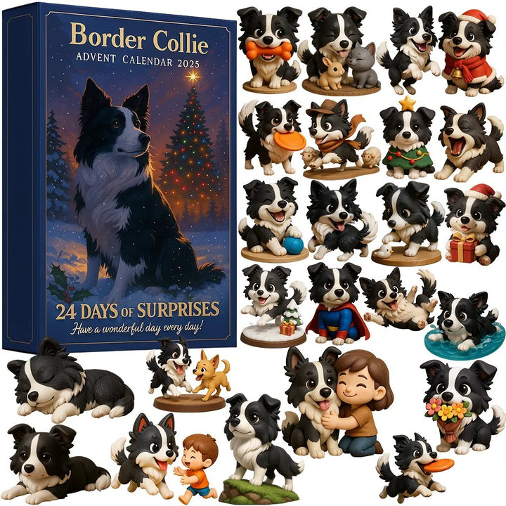 Border cole | Adventní kalendář 2025